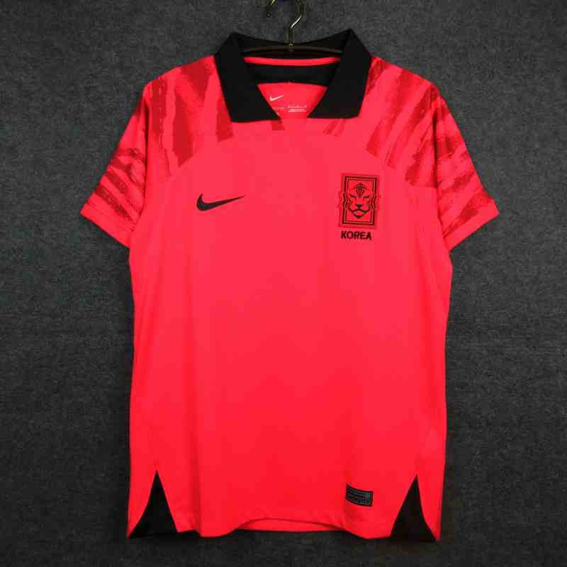 2022 World Cup Korea home