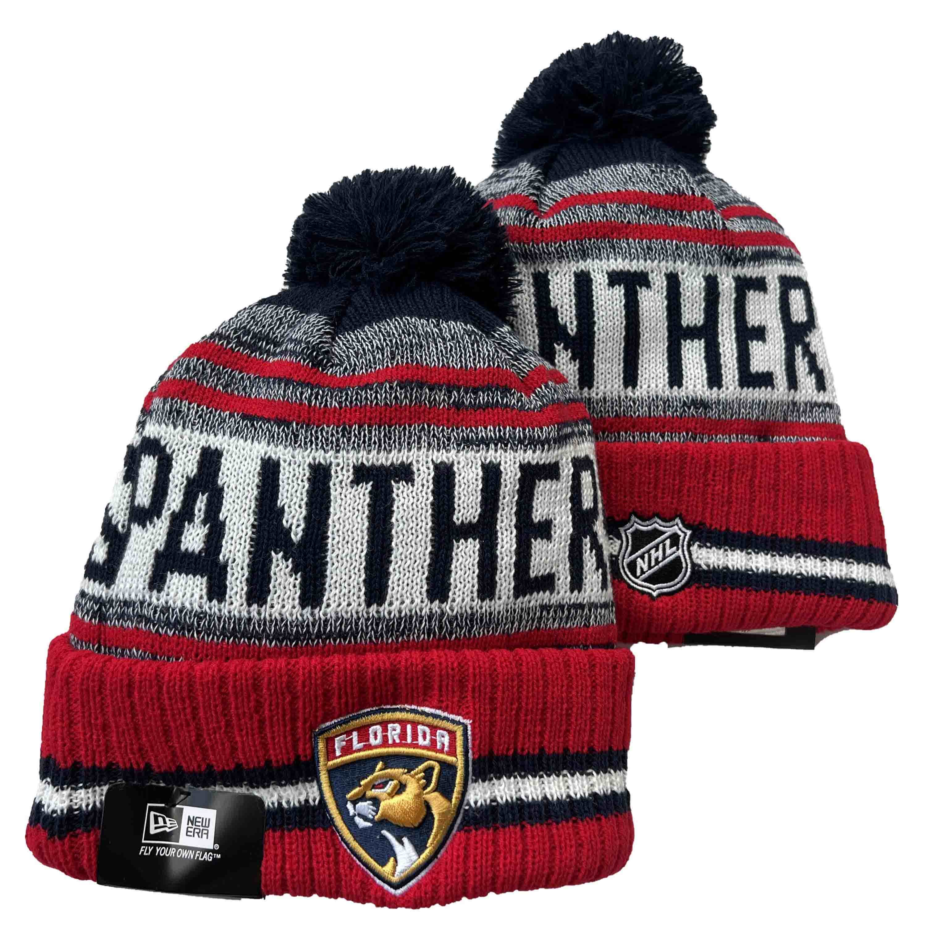 Florida Panthers knit hat YD
